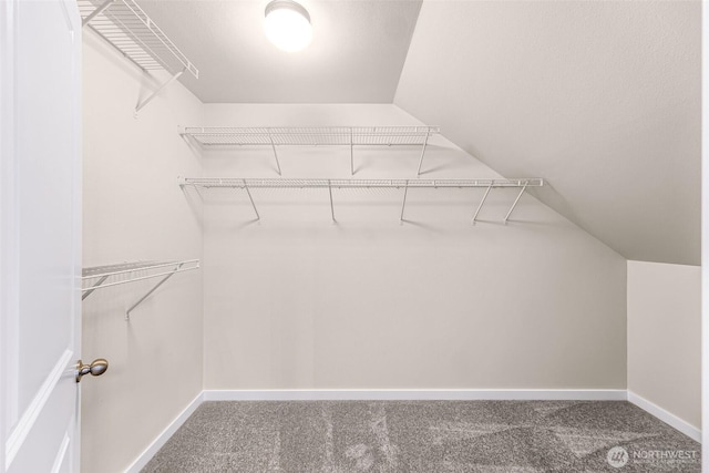 spacious closet featuring vaulted ceiling and carpet floors