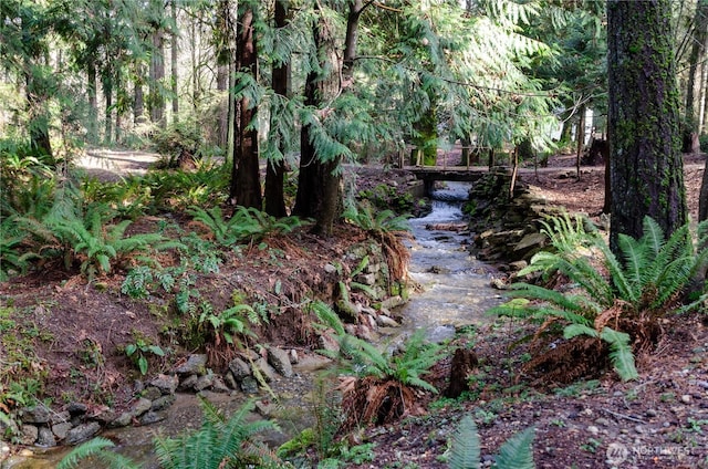 view of yard featuring a view of trees
