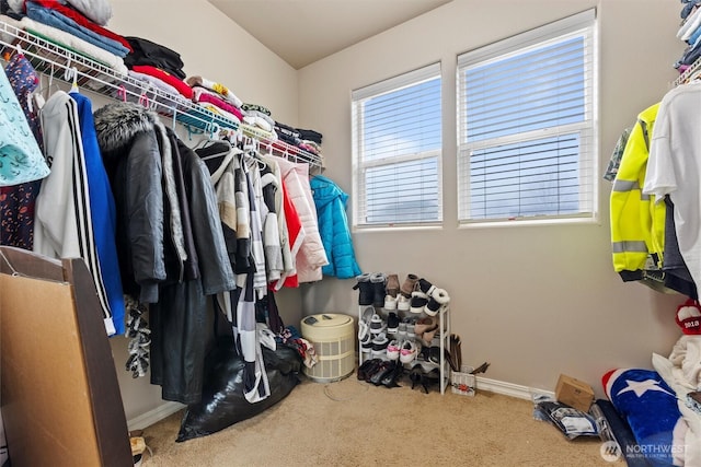 spacious closet with carpet