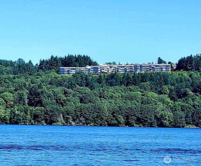 water view with a forest view