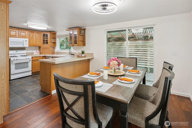 dining space featuring baseboards and dark wood-style flooring