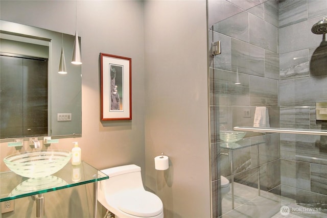 full bathroom featuring toilet, a sink, and a shower stall