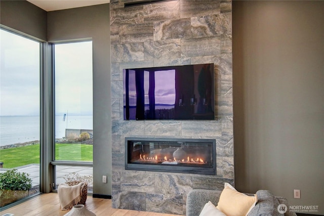 interior details with a large fireplace and wood finished floors