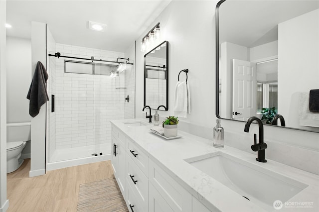 full bathroom featuring a shower stall, toilet, double vanity, and a sink