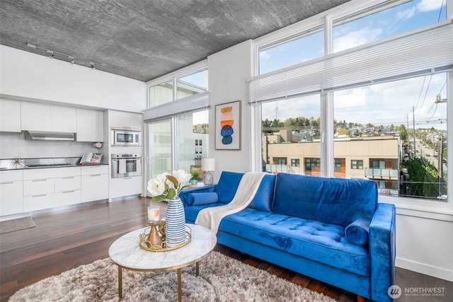 living room with dark wood-type flooring