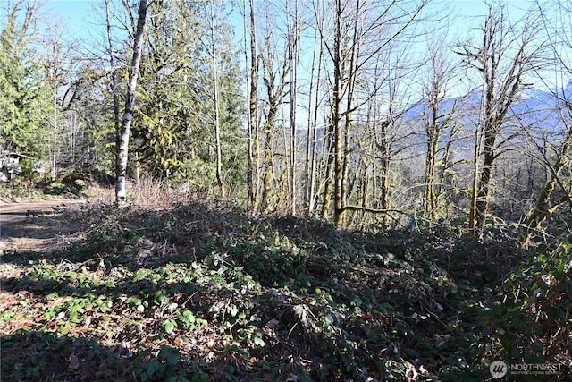 21919 Wits End Pl, Gold Bar WA, 98251 land for sale