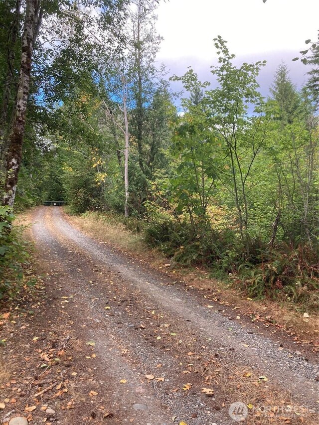 22305 Bald Hill Rd, Yelm, WA 98597 - photo 30