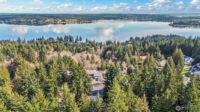 drone / aerial view featuring a water view and a view of trees