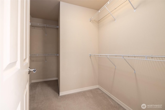 spacious closet with carpet floors