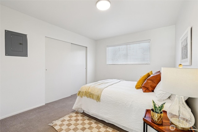 carpeted bedroom with electric panel and a closet