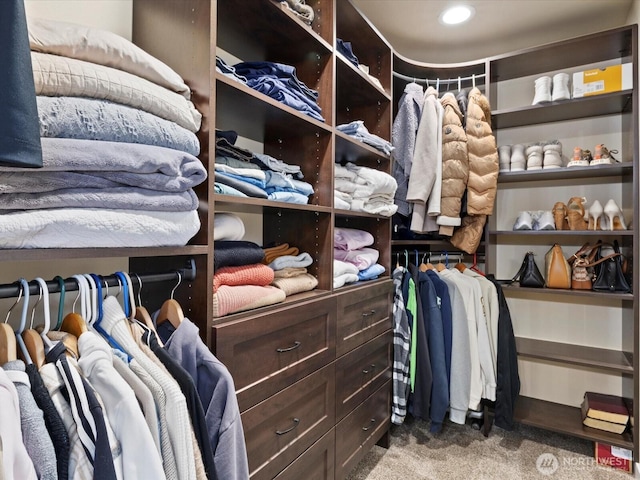 walk in closet featuring carpet