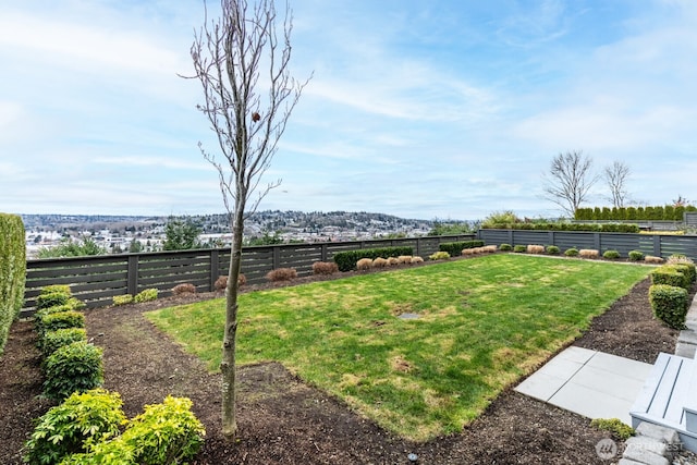 view of yard with a fenced backyard