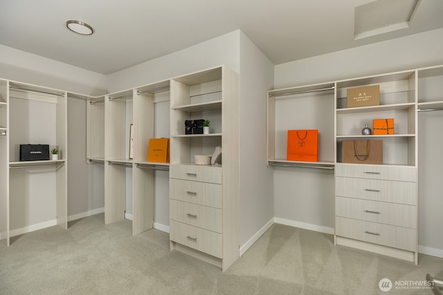 spacious closet featuring carpet floors