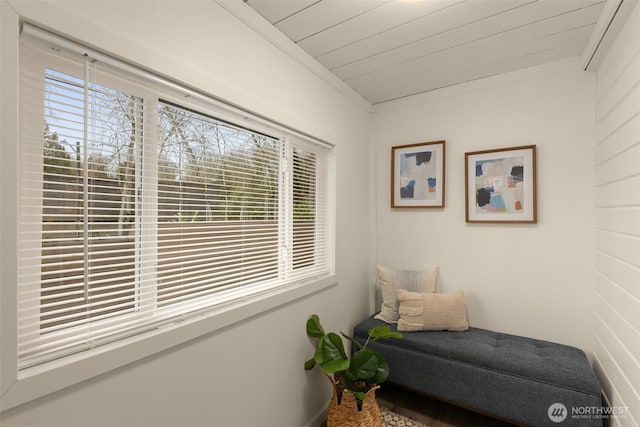 living area featuring plenty of natural light and wooden ceiling