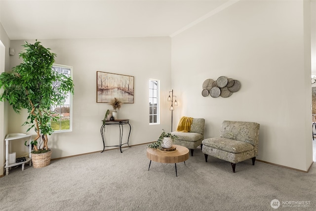 sitting room featuring high vaulted ceiling, carpet flooring, and baseboards