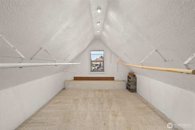 walk in closet featuring carpet floors and vaulted ceiling