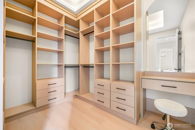 spacious closet with light wood-style floors