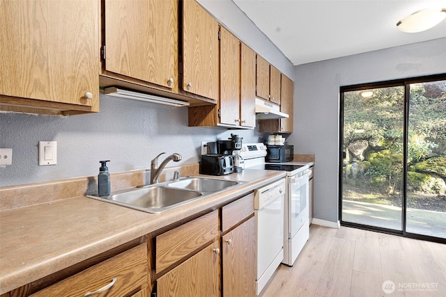 kitchen featuring light wood finished floors, white appliances, light countertops, under cabinet range hood, and a sink