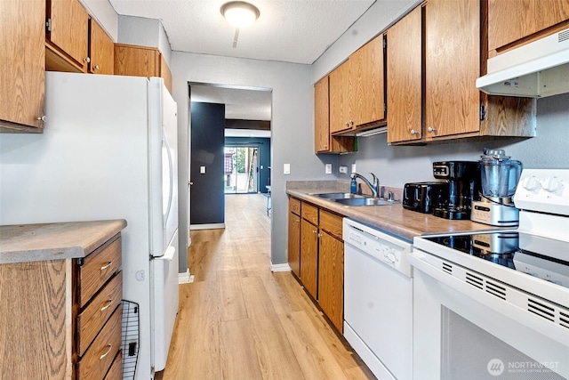 kitchen featuring white appliances, light wood-style floors, light countertops, under cabinet range hood, and a sink