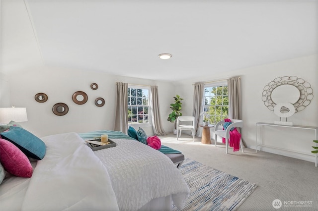 carpeted bedroom featuring multiple windows