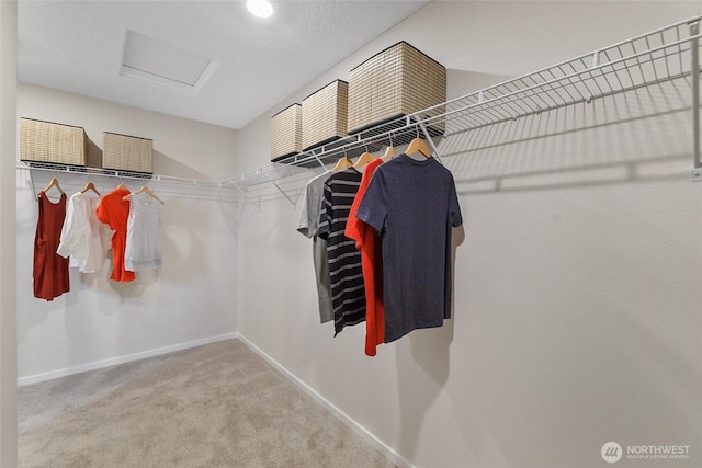 walk in closet featuring attic access and carpet