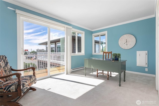 carpeted office space featuring a baseboard radiator, baseboards, and crown molding