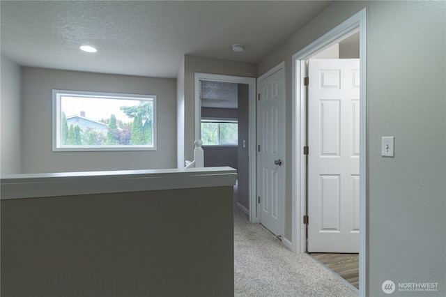 corridor featuring baseboards, a textured ceiling, and carpet