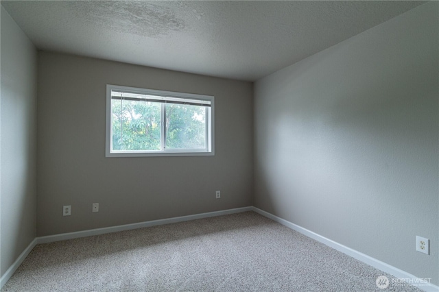 spare room featuring baseboards, carpet floors, and a textured ceiling