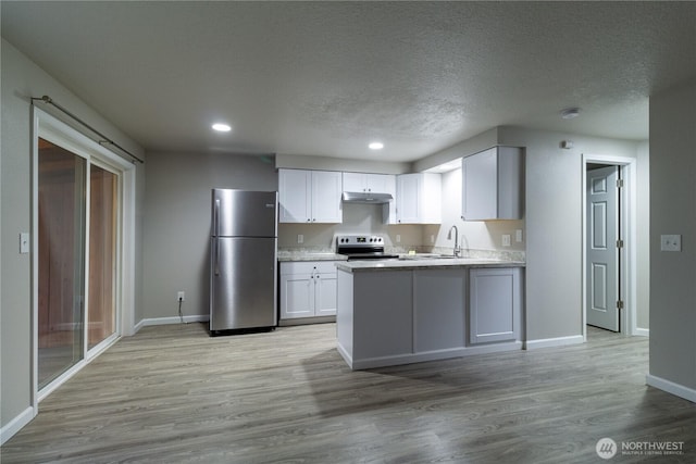 kitchen featuring under cabinet range hood, light wood-style floors, appliances with stainless steel finishes, and a sink