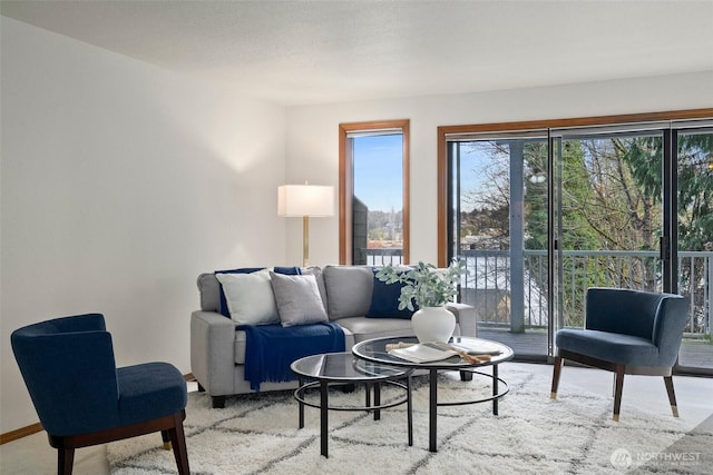 living area with baseboards