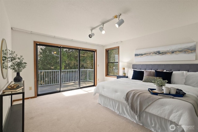 bedroom featuring multiple windows, carpet floors, access to exterior, and rail lighting