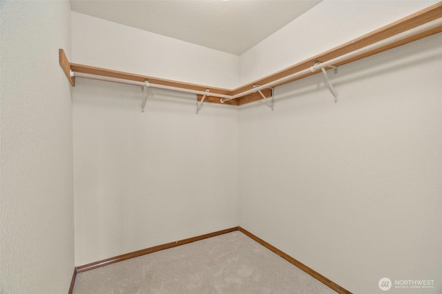 walk in closet with carpet flooring