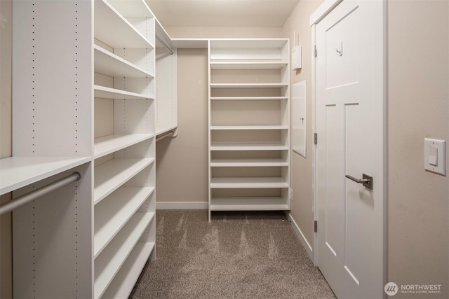 spacious closet with carpet flooring