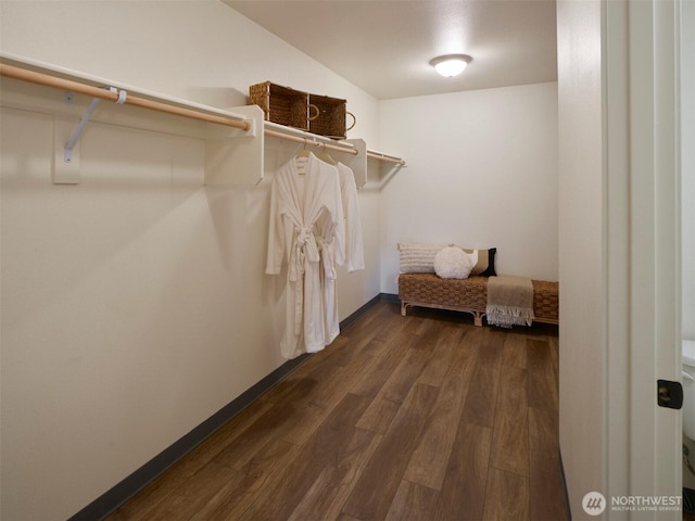 walk in closet with dark wood-style floors