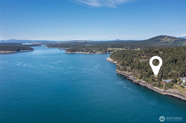 389 Madrona Dr, Friday Harbor, WA 98250 - photo 30