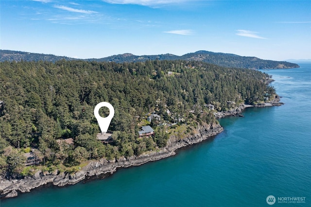 389 Madrona Dr, Friday Harbor, WA 98250 - photo 4