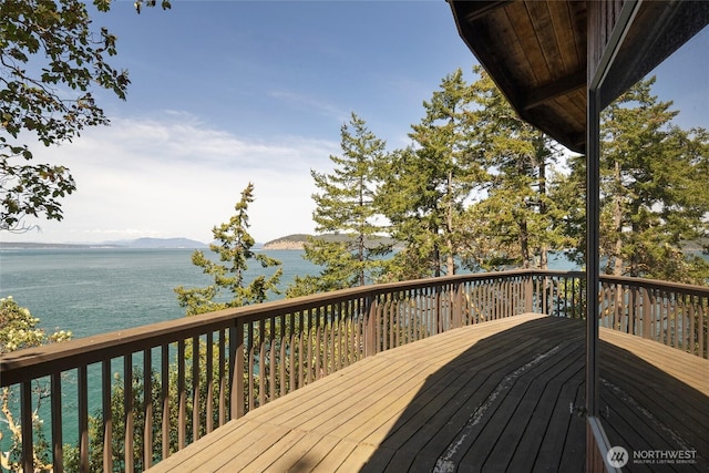 389 Madrona Dr, Friday Harbor, WA 98250 - photo 6