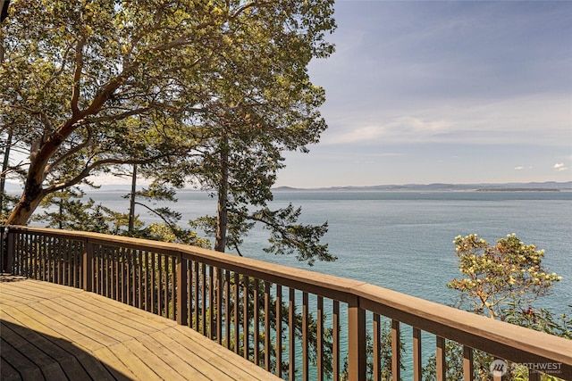 389 Madrona Dr, Friday Harbor, WA 98250 - photo 12