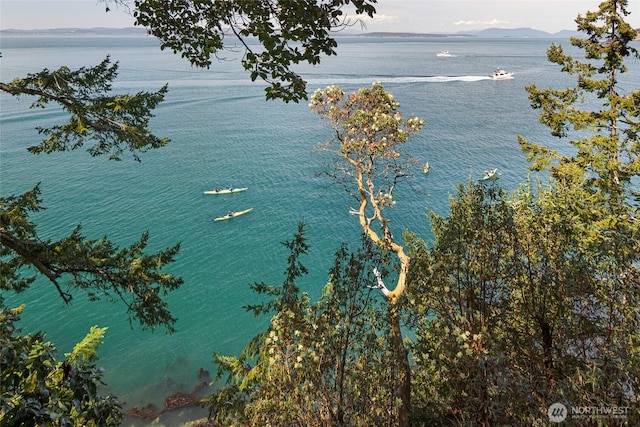 389 Madrona Dr, Friday Harbor, WA 98250 - photo 13