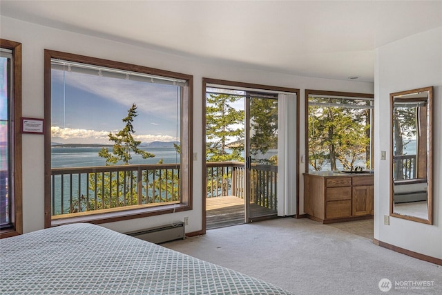 389 Madrona Dr, Friday Harbor, WA 98250 - photo 14