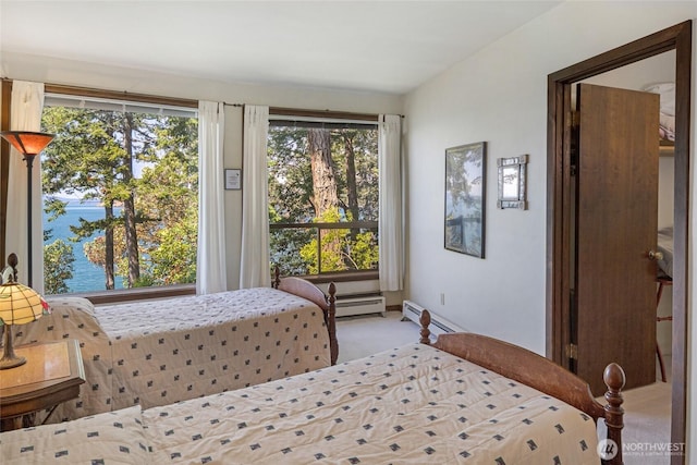 389 Madrona Dr, Friday Harbor, WA 98250 - photo 17