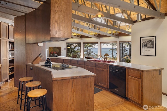 389 Madrona Dr, Friday Harbor, WA 98250 - photo 9