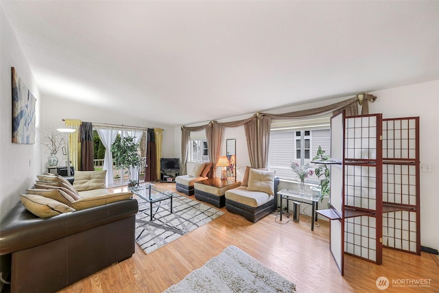 living area featuring wood finished floors