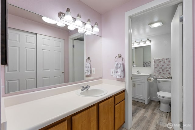 bathroom featuring vanity, wood finished floors, and toilet