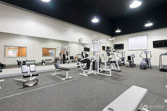 exercise room featuring a towering ceiling and baseboards