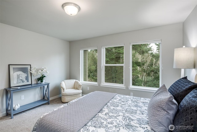 bedroom with baseboards, multiple windows, and carpet