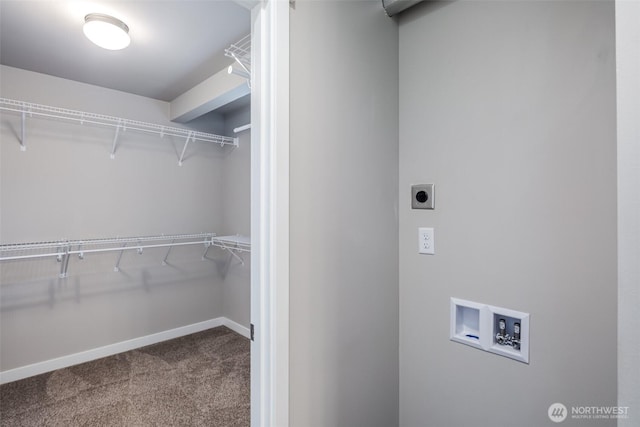 spacious closet featuring carpet floors