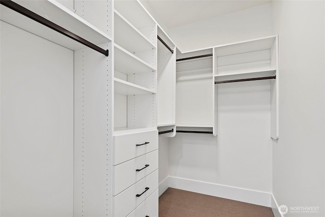 walk in closet with dark carpet