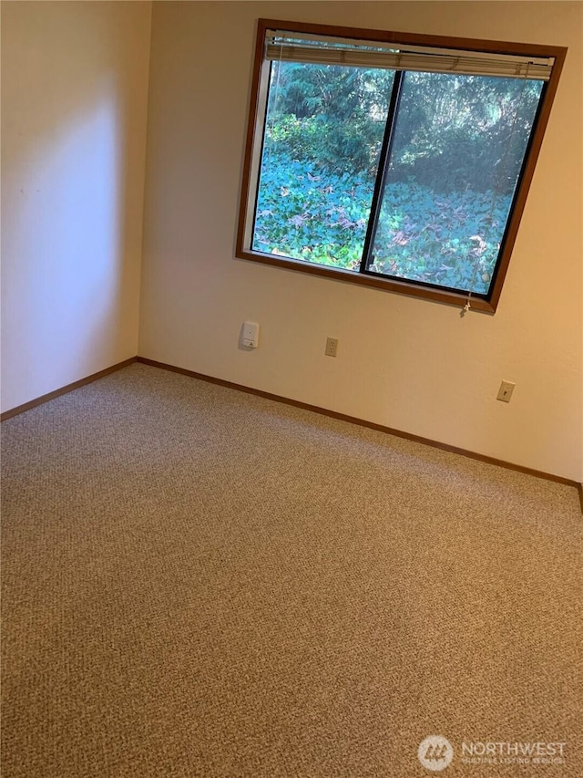 304 10th St, Kirkland, WA 98033 - carpeted spare room with baseboards