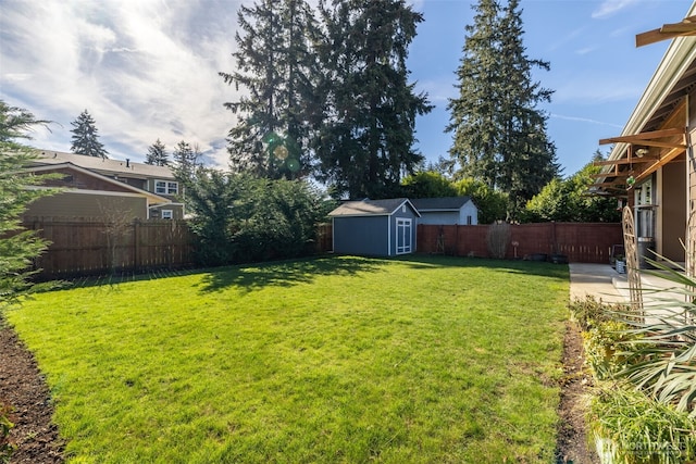 view of yard featuring an outbuilding, a storage unit, and a fenced backyard